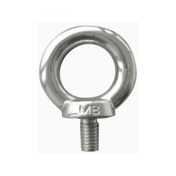 Eye Bolt DIN580 10mm