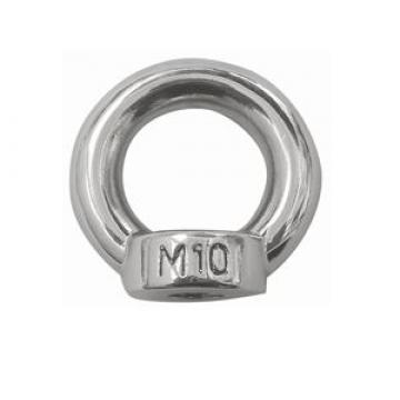 Eye Nut DIN582 10mm