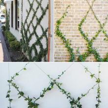 Green Wall Post for Espalier/Trellis suits 3.2mm and 4mm Wire